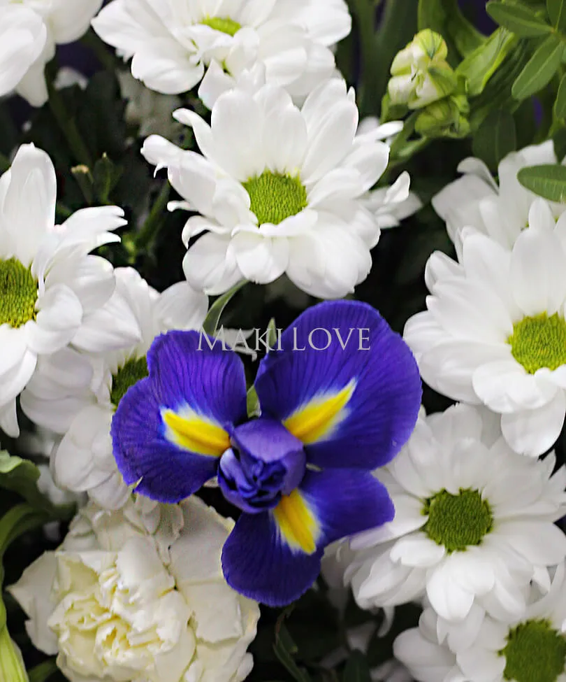 Букет цветов «Софит»