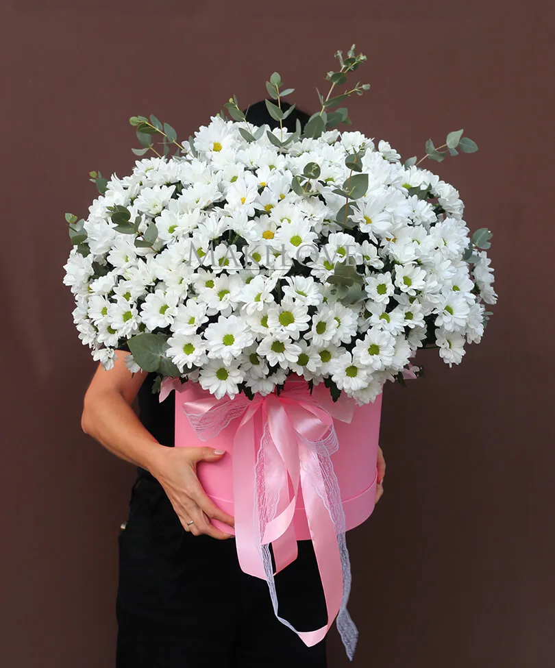 Букет из хризантем в шляпной коробке «Киев»