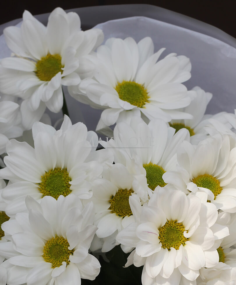 Круглый букет "Ромашки"