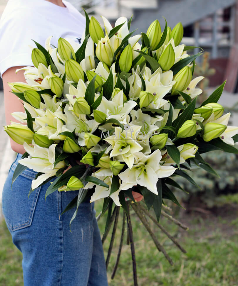 Букет из 15 лилий