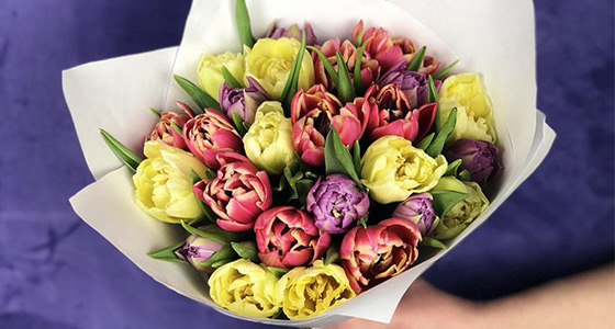 Цветы 8 марта купить в СПб