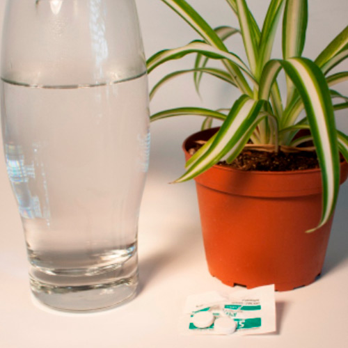 Миф №4. Используем дезинфицирующие средства для воды в вазе