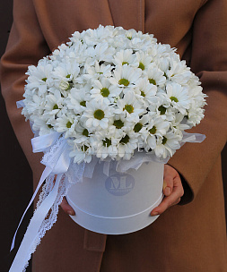 Букет из хризантем «Белоснежная симфония»