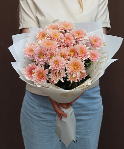 Персиковые хризантемы