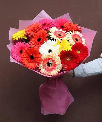Букет из 15 гербер