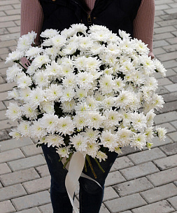 Букет из 25 белых хризантем
