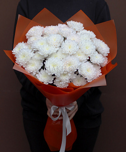 Облако хризантем