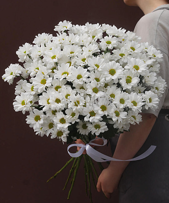 Букет хризантем «Белоснежный ангел»