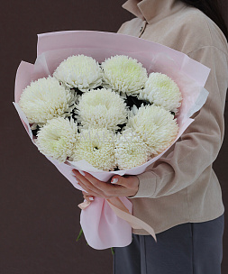Букет из 9 одноголовых хризантем