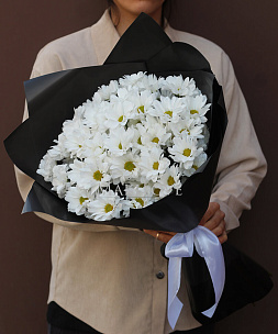 Букет хризантем «Стильные ромашки»