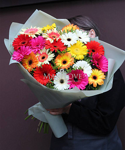 Букет из 21 герберы