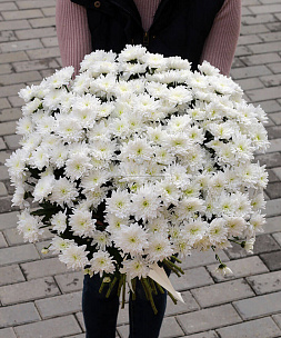 Букет из 35 белых хризантем