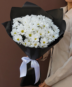 Букет хризантем «Стильные ромашки»