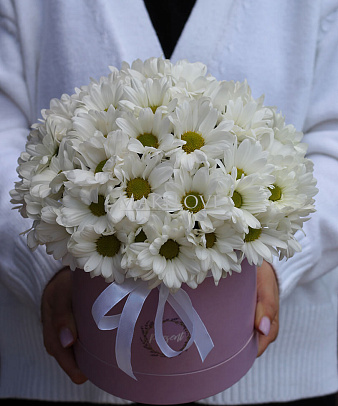 Букет хризантем «Аляска»