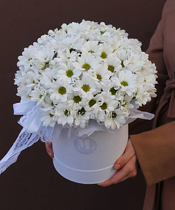Букет из хризантем «Белоснежная симфония»
