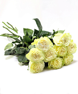 Букет 9 белых роз Премиум