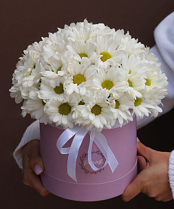 Букет хризантем «Аляска»