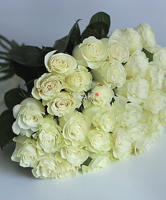 Букет 35 белых роз