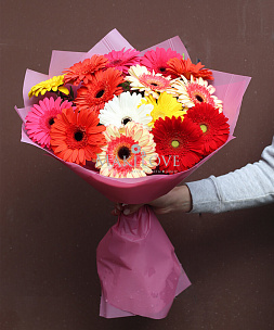 Букет из 15 гербер