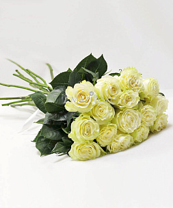 Букет 15 белых роз Премиум