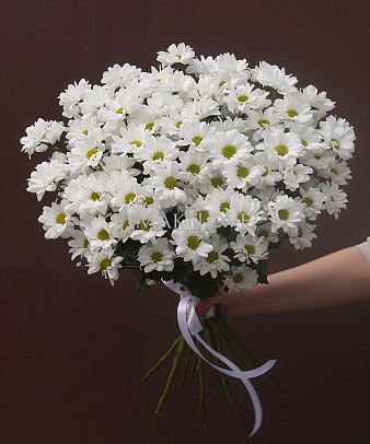 Букет хризантем «Белоснежный ангел»